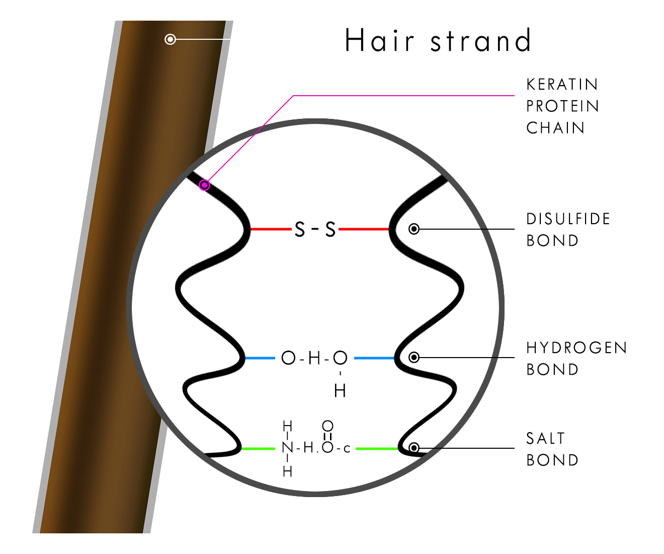 Bonplex Ingredients explanation